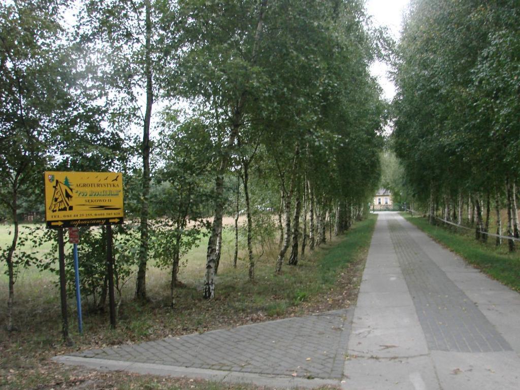 Pod Modrzewiami * Nowy Tomyśl