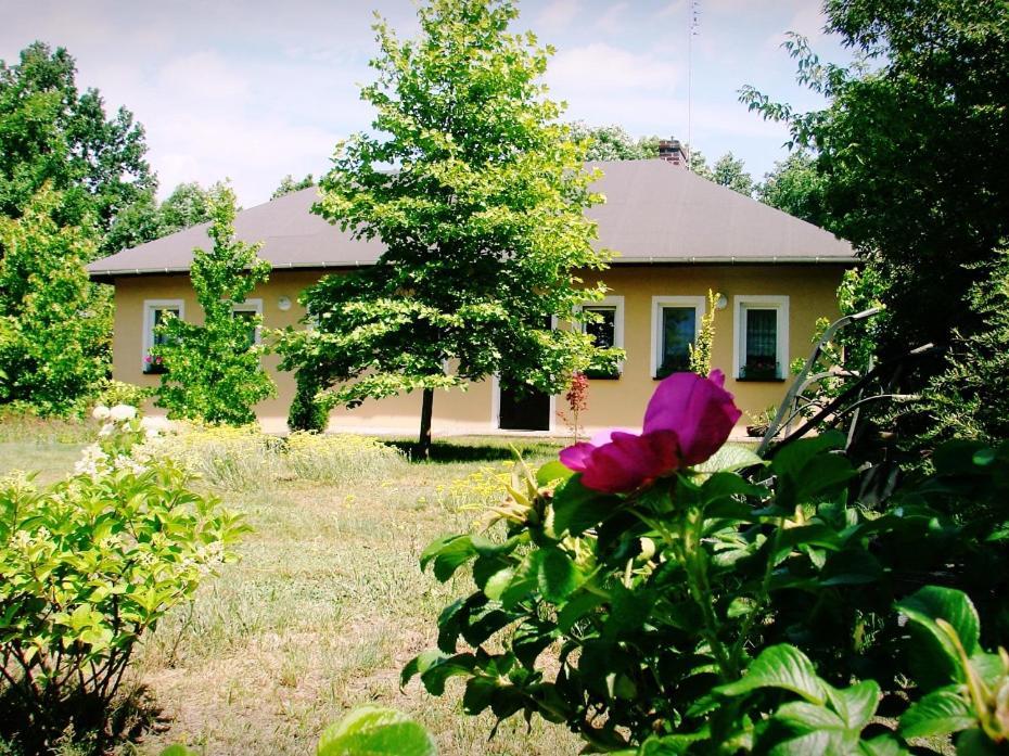 Bauernhof Pod Modrzewiami *